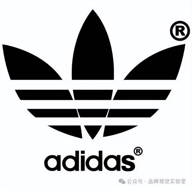 球十大运动品牌盘点下！球王会体育屹立不倒的全(图13)